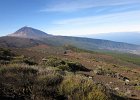 Teneriffa 2012 101 IMG 2041